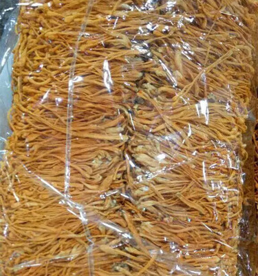 純天然本色 無(wú)硫無(wú)染蟲草花的品質(zhì)與食用價(jià)值