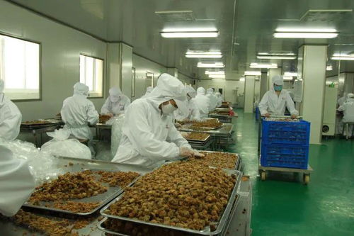 太和農產品加工產業園入選省行動計劃，聚焦食用農產品初加工高質量發展