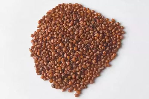 海外熱銷，泰州三農產品基地榮膺省級示范，這些特產你嘗過嗎？